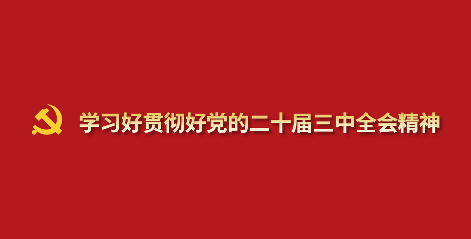 學(xué)習(xí)好貫徹好黨的二十屆三中全會精神
